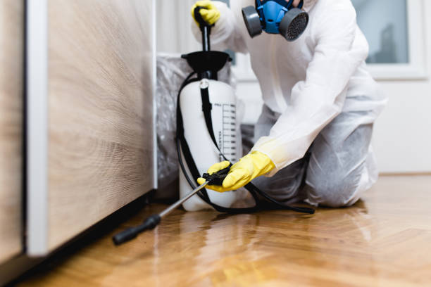 Best Insect Control  in Butler, PA