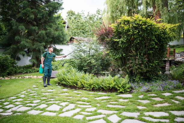 Best Local Pest Control Services  in Butler, PA