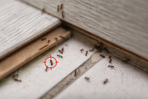 Best Emergency Pest Control  in Butler, PA
