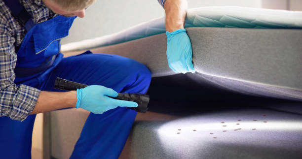Best Bed Bug Extermination  in Butler, PA