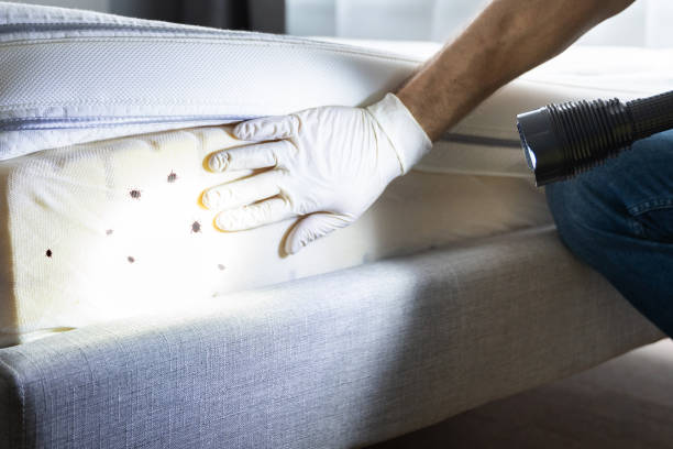Best Flea Control Services  in Butler, PA