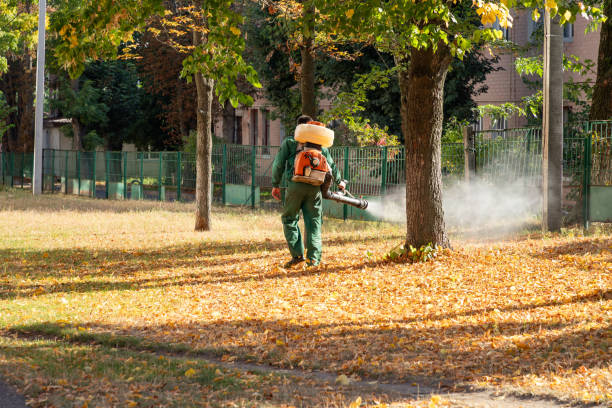 Pest Prevention Services in Butler, PA