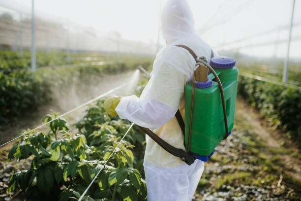 Best Ant Control Services  in Butler, PA